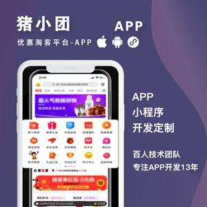 上海淘客拼团社区购物商城系统手机app小程序软件开发制作定制